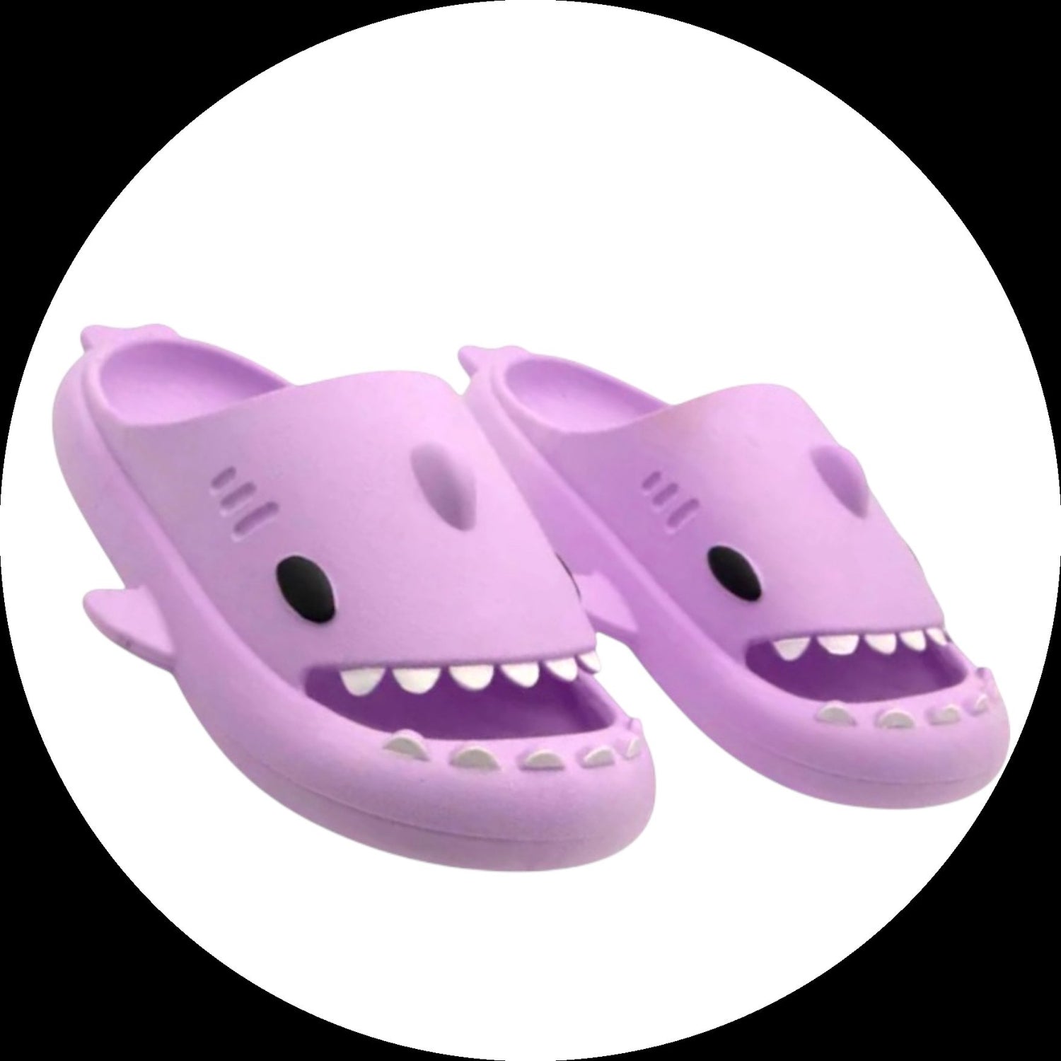 Shark